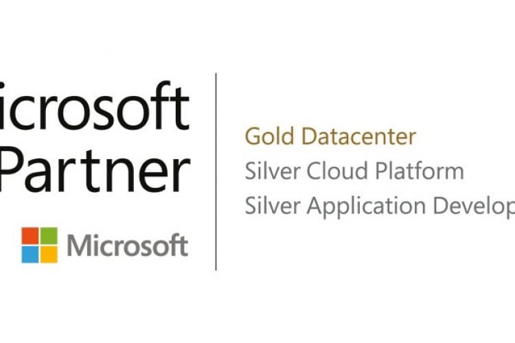 Microsoft Partner Logo