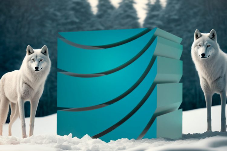 Zwei Polarwölfe mit dem PKN Cube